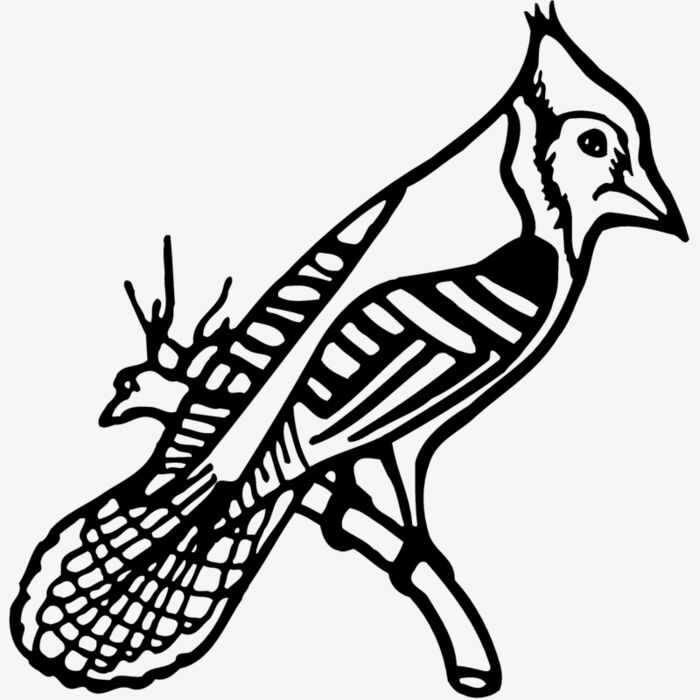 BIRD010 Thumbnail