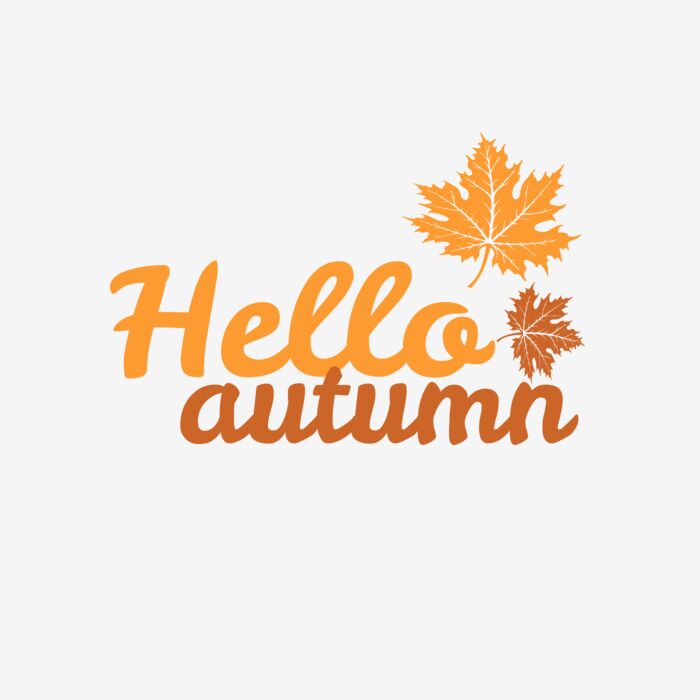 Fall Season 23 Thumbnail